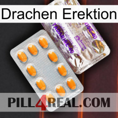 Dragon Erection new12